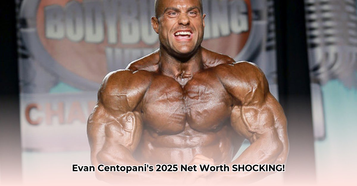 evan-centopani-net-worth